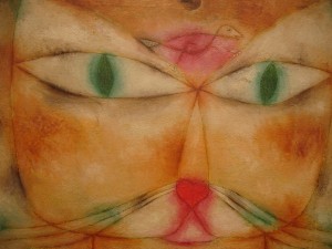 Cat and Bird